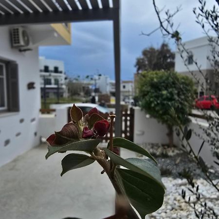The Garden House Villa Tinos Ngoại thất bức ảnh