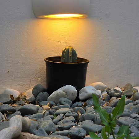 The Garden House Villa Tinos Ngoại thất bức ảnh