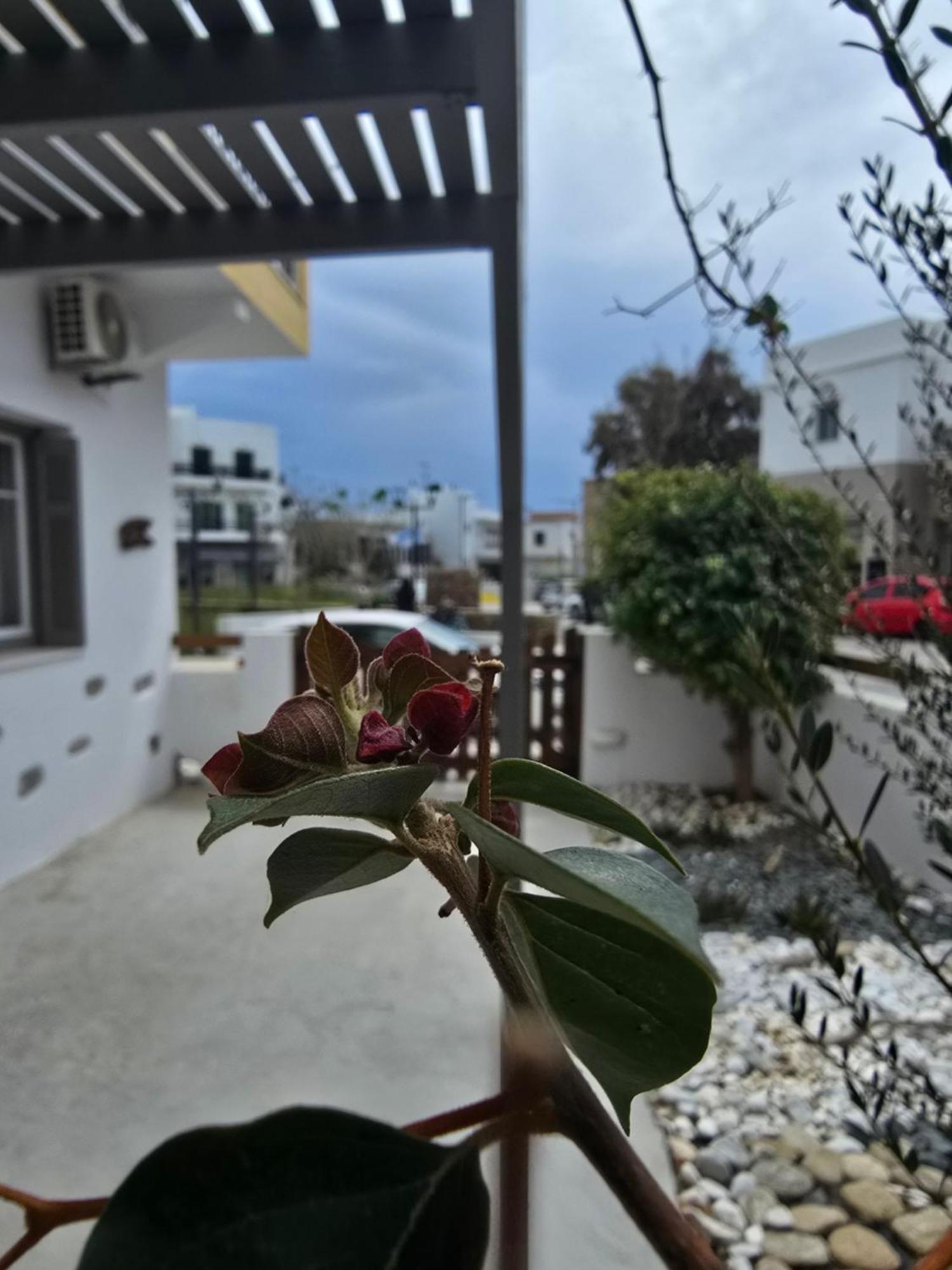 The Garden House Villa Tinos Ngoại thất bức ảnh