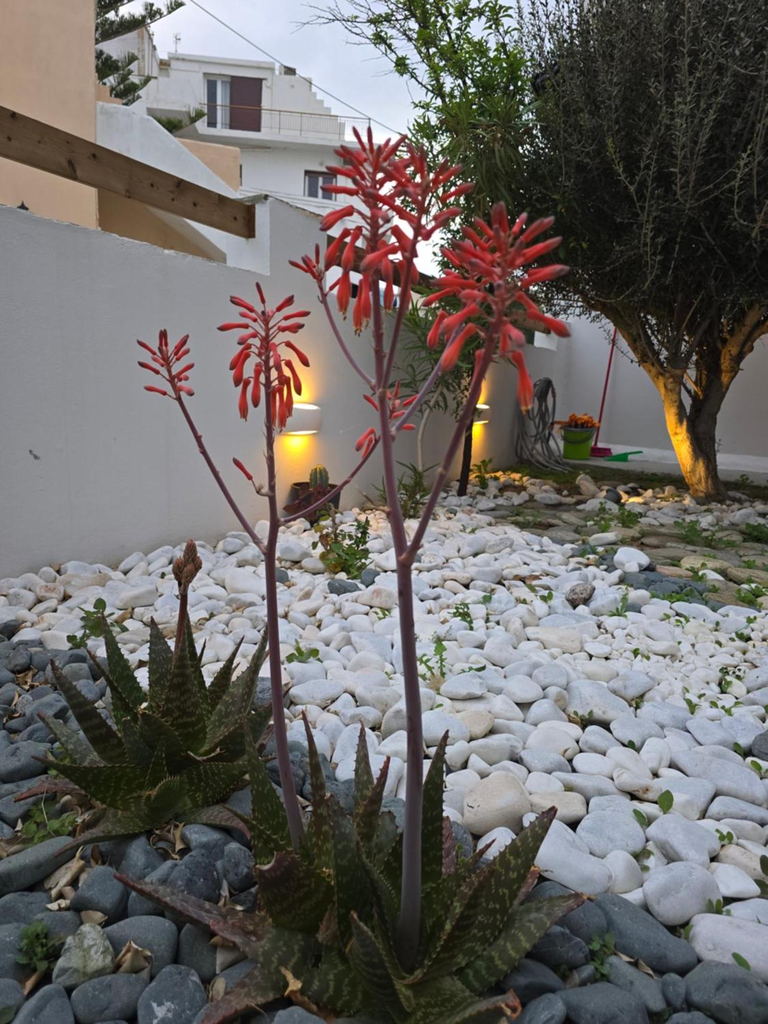 The Garden House Villa Tinos Ngoại thất bức ảnh